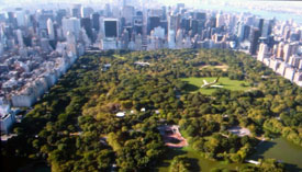 Die Amis &uuml;bertreiben wie immer!