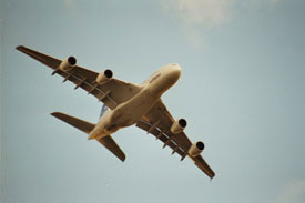 Ein wahrhaft "fl&uuml;sternder Riese"!