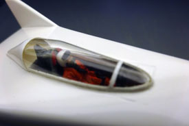 Foto von lackiertem Rumpf