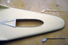 Foto vom Rumpfoberh&auml;lfte