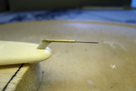 Foto Rumpfoberh&auml;lfte