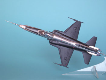 Bild von der Grumman YF-20TVTD NASA 837