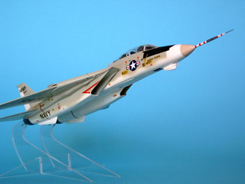 Bild von der Grumman F-14A NASA 991