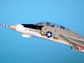 Bild von der Grumman F-14A NASA 991